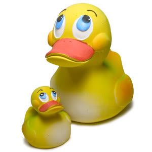 Free-Range Rubber Duck